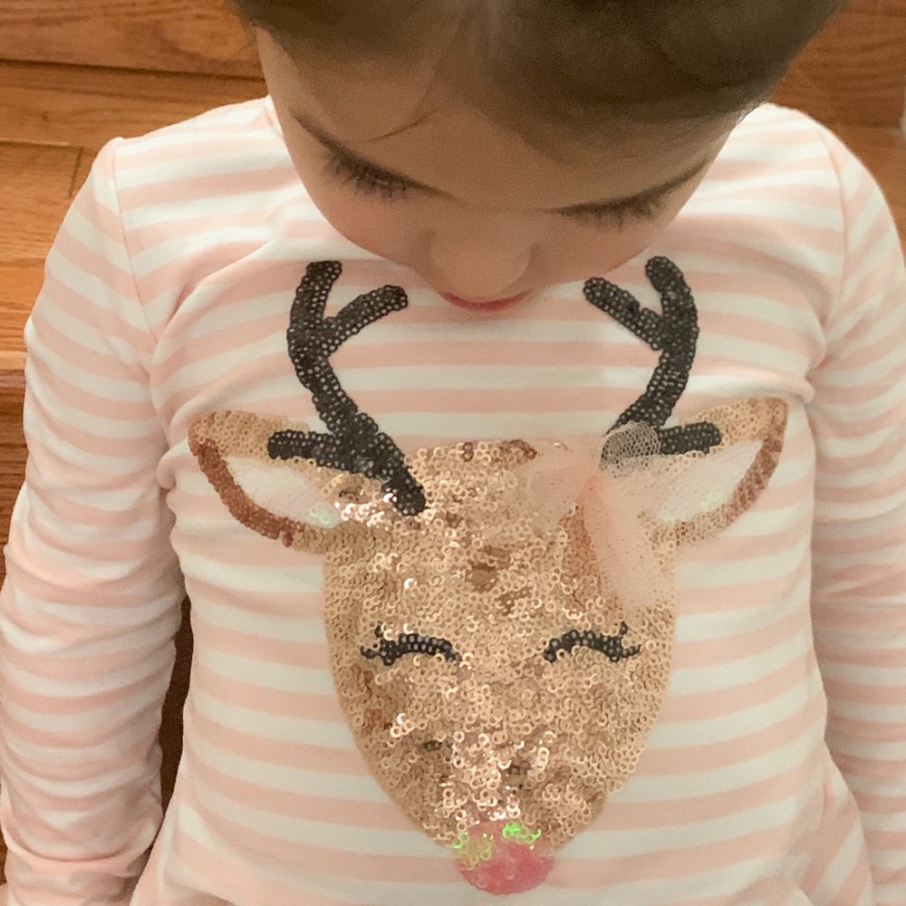 Long Sleeve Stripped Reindeer Sequined Knit Top